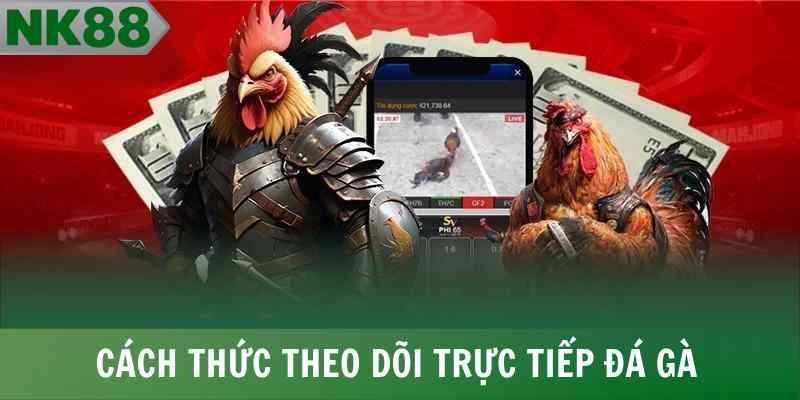 Cách thức để xem đá gà tại nhà cái trực tiếp