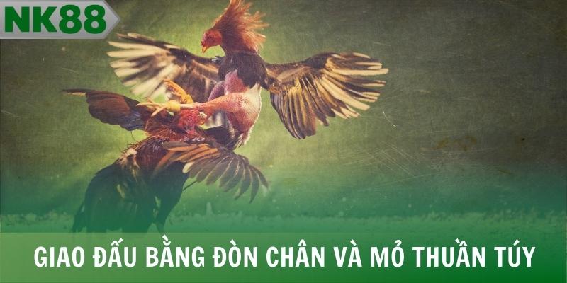 Chiến kê giao đấu bằng đòn chân và mỏ thuần túy