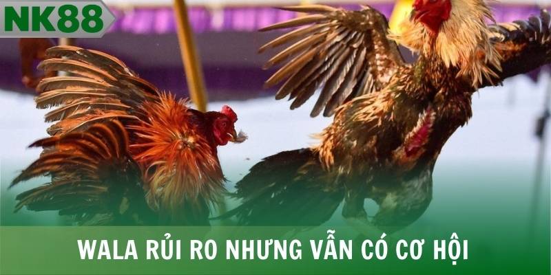 Wala rủi ro nhưng vẫn có cơ hội lật ngược tình thế